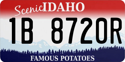 ID license plate 1B8720R
