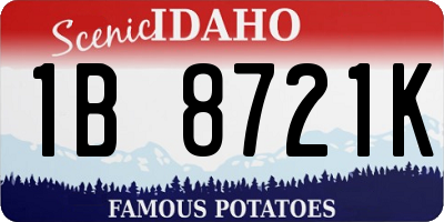 ID license plate 1B8721K