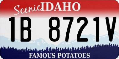 ID license plate 1B8721V