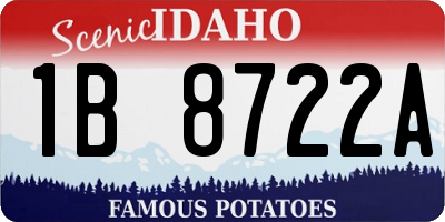 ID license plate 1B8722A