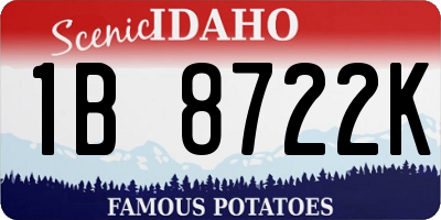 ID license plate 1B8722K
