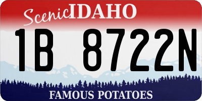 ID license plate 1B8722N