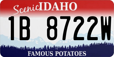 ID license plate 1B8722W