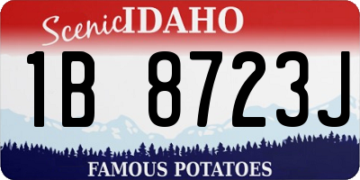 ID license plate 1B8723J