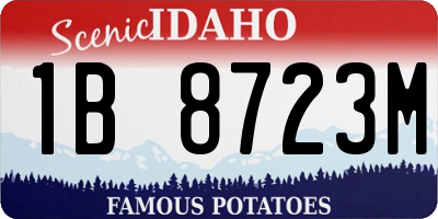 ID license plate 1B8723M