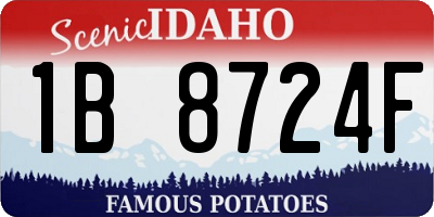 ID license plate 1B8724F