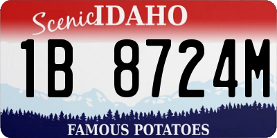ID license plate 1B8724M