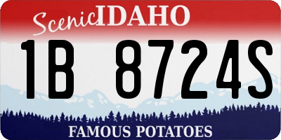 ID license plate 1B8724S
