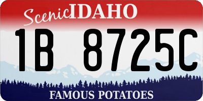 ID license plate 1B8725C
