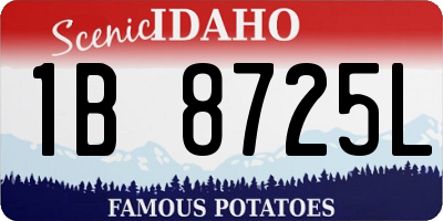 ID license plate 1B8725L