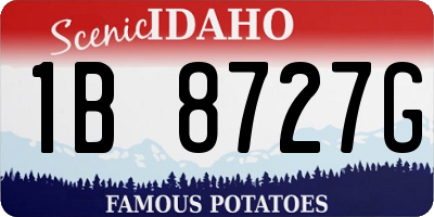 ID license plate 1B8727G