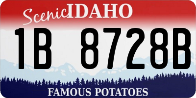 ID license plate 1B8728B