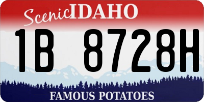 ID license plate 1B8728H