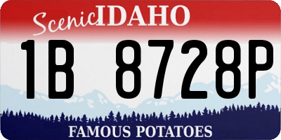 ID license plate 1B8728P