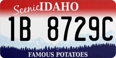 ID license plate 1B8729C