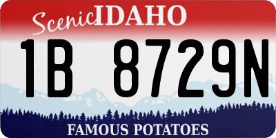 ID license plate 1B8729N
