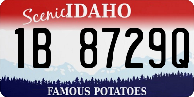 ID license plate 1B8729Q