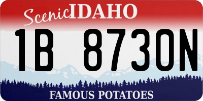 ID license plate 1B8730N