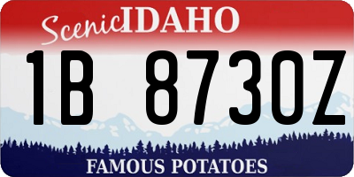 ID license plate 1B8730Z