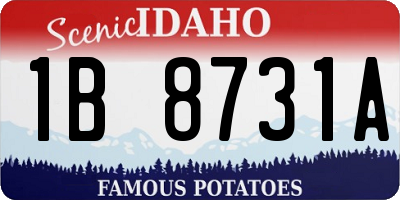ID license plate 1B8731A