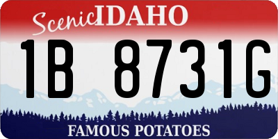 ID license plate 1B8731G
