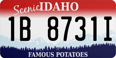 ID license plate 1B8731I