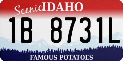 ID license plate 1B8731L