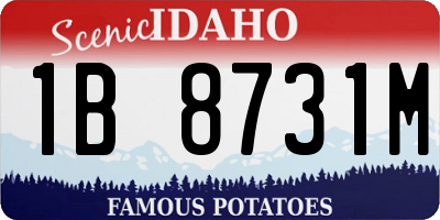 ID license plate 1B8731M