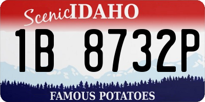 ID license plate 1B8732P