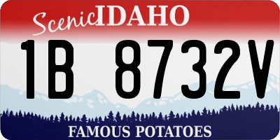 ID license plate 1B8732V