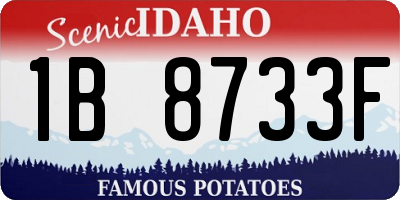 ID license plate 1B8733F