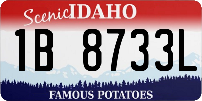 ID license plate 1B8733L