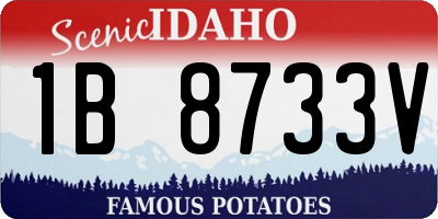 ID license plate 1B8733V