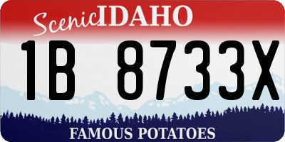 ID license plate 1B8733X