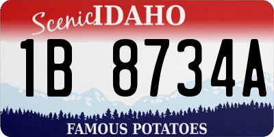ID license plate 1B8734A