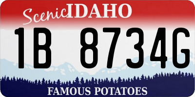 ID license plate 1B8734G