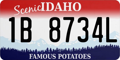 ID license plate 1B8734L
