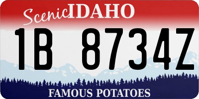 ID license plate 1B8734Z