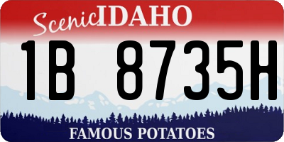 ID license plate 1B8735H
