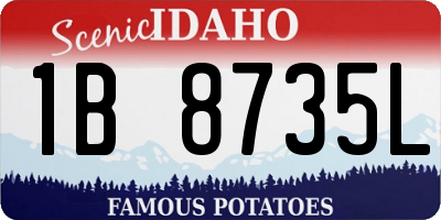 ID license plate 1B8735L