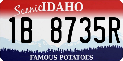 ID license plate 1B8735R