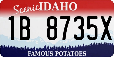 ID license plate 1B8735X