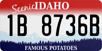 ID license plate 1B8736B