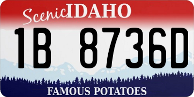 ID license plate 1B8736D