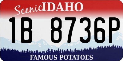 ID license plate 1B8736P