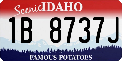 ID license plate 1B8737J