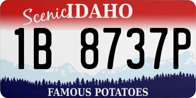 ID license plate 1B8737P