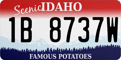 ID license plate 1B8737W