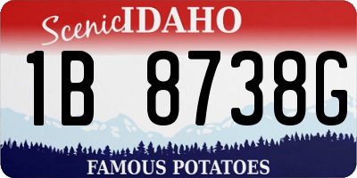 ID license plate 1B8738G