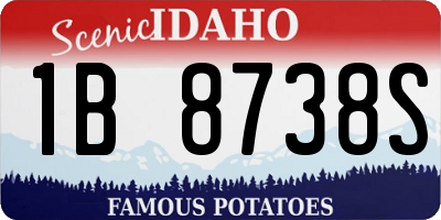 ID license plate 1B8738S